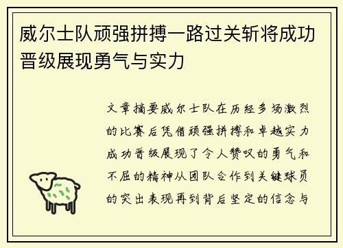 威尔士队顽强拼搏一路过关斩将成功晋级展现勇气与实力