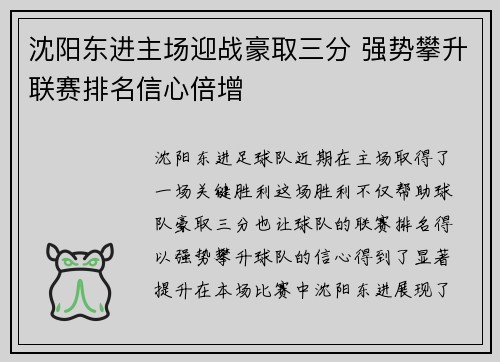 沈阳东进主场迎战豪取三分 强势攀升联赛排名信心倍增